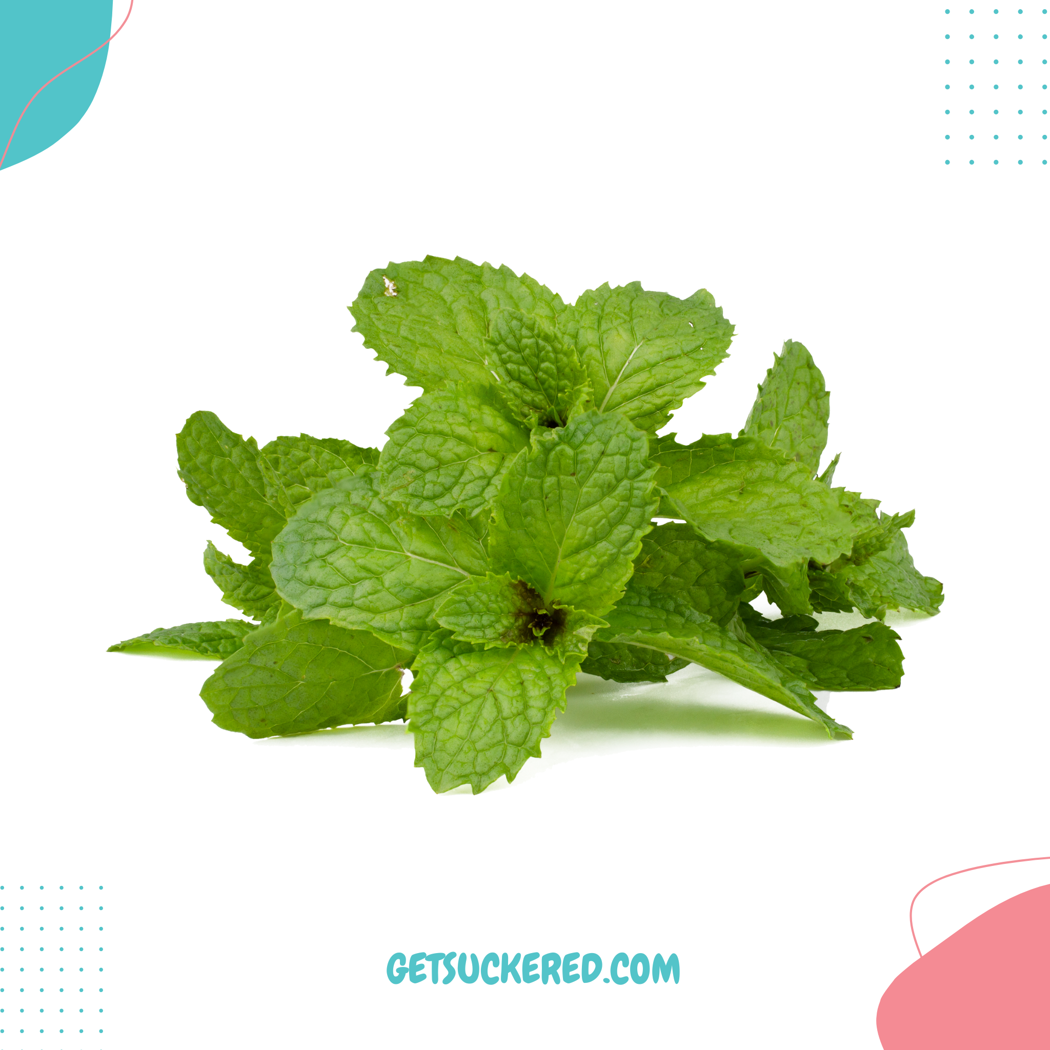 Peppermint Flavor Powder