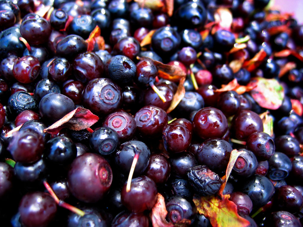 Huckleberry Flavoring